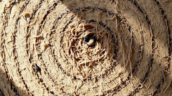 Top raisons d'éviter une cible en sisal pour fléchettes